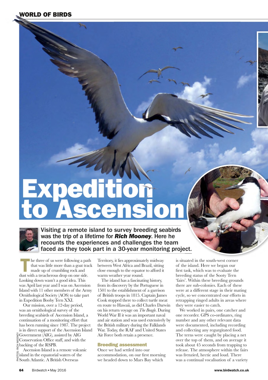 Birdwatch Magazine Preview Pages