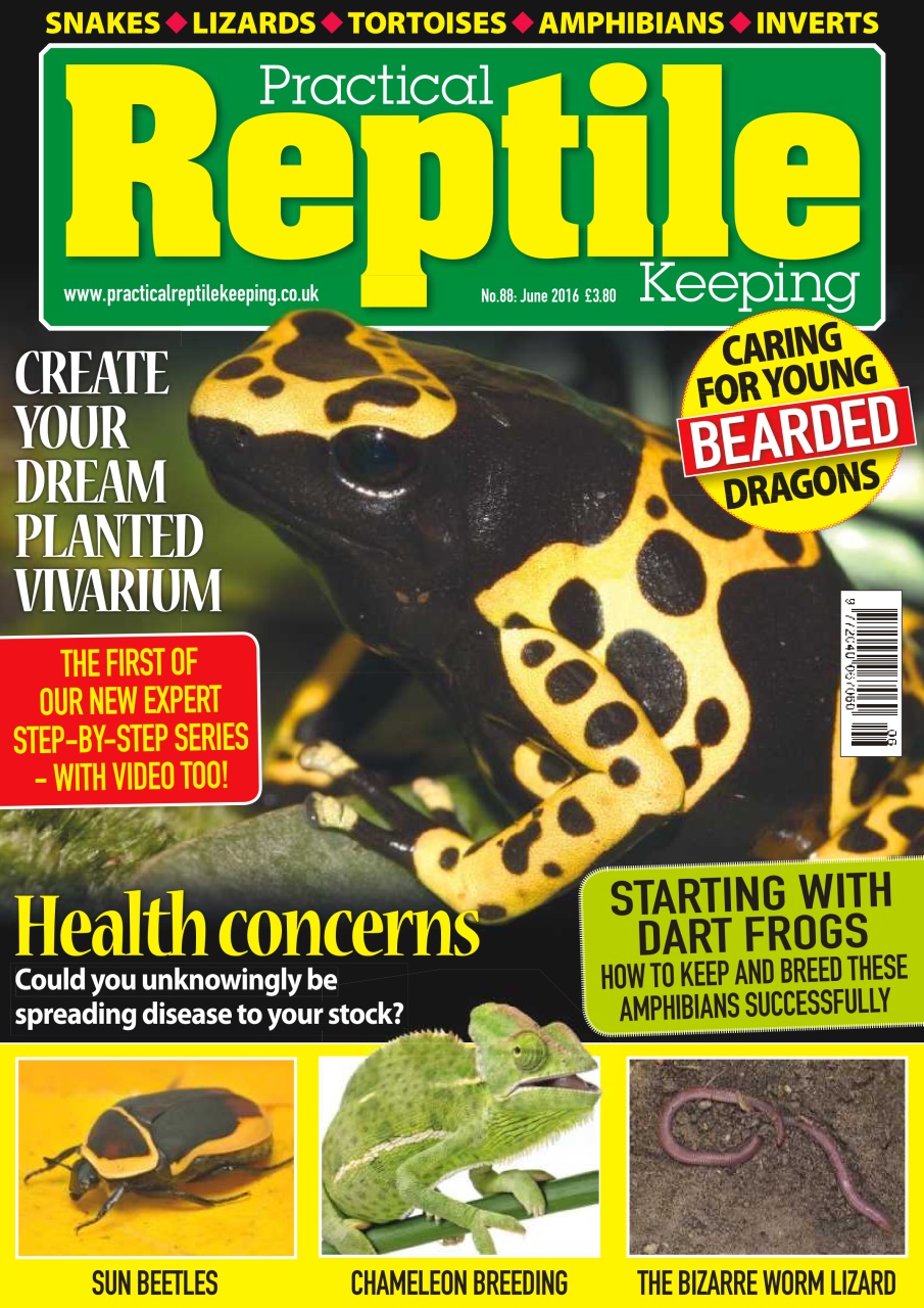 Practical Reptile Keeping Preview Pages