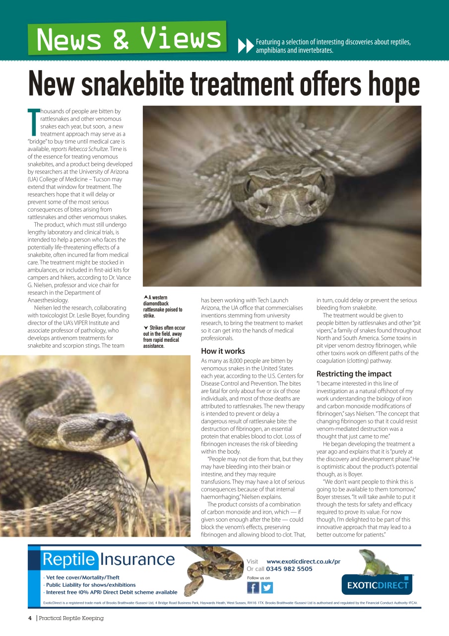 Practical Reptile Keeping Preview Pages