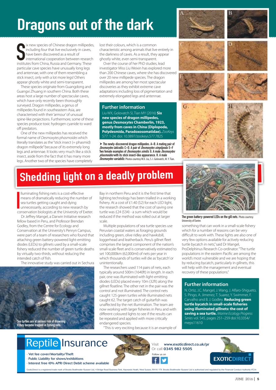 Practical Reptile Keeping Preview Pages