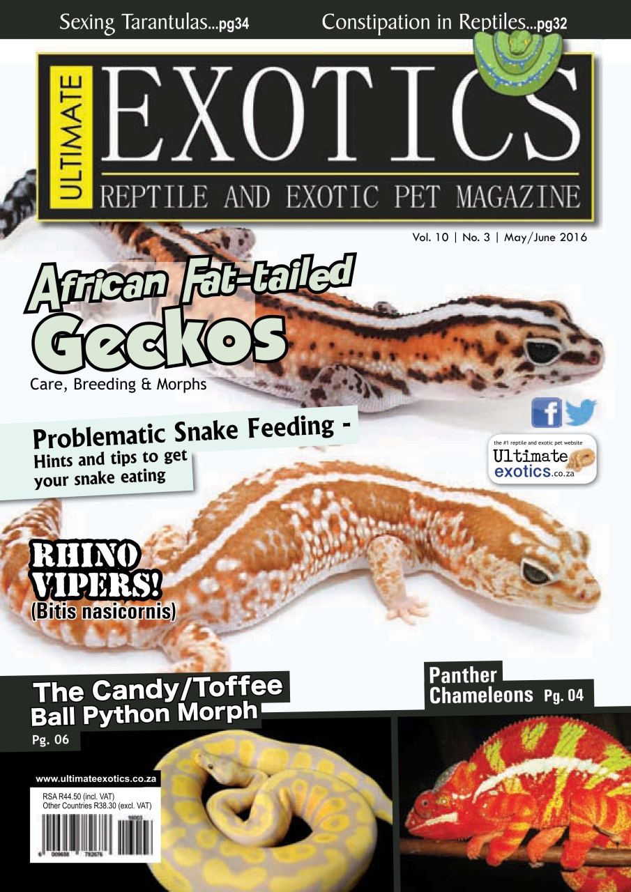 Ultimate Exotics Preview Pages