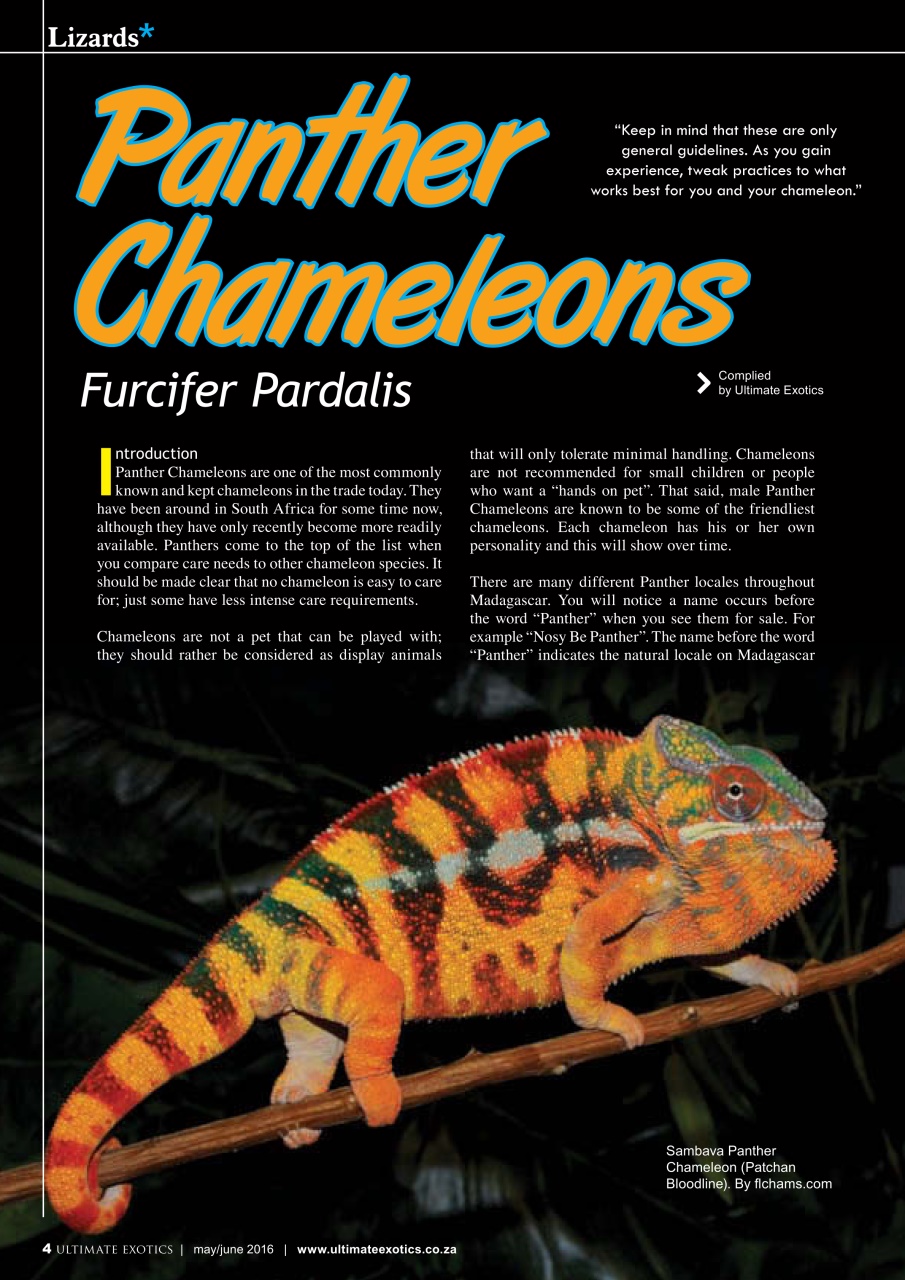 Ultimate Exotics Preview Pages