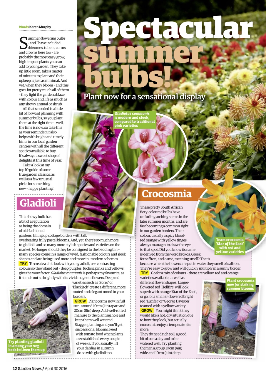 Garden News Preview Pages