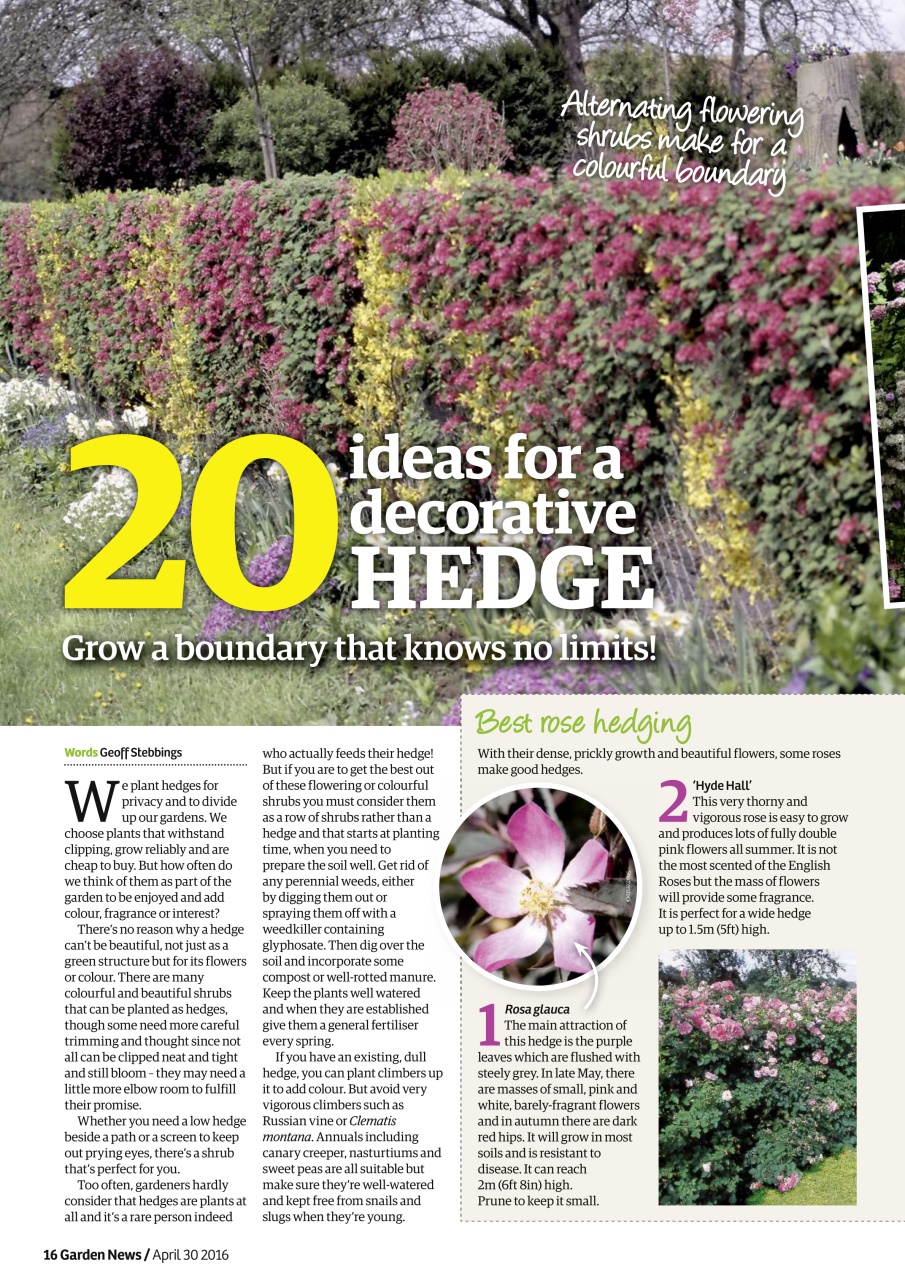 Garden News Preview Pages