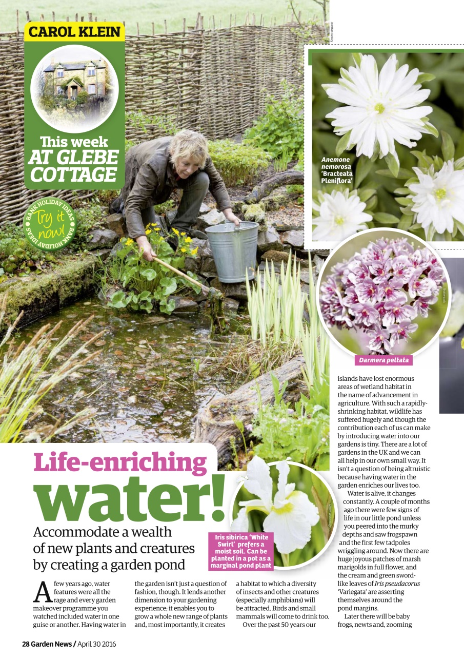 Garden News Preview Pages