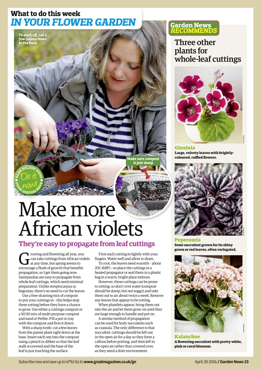 Garden News Preview Pages
