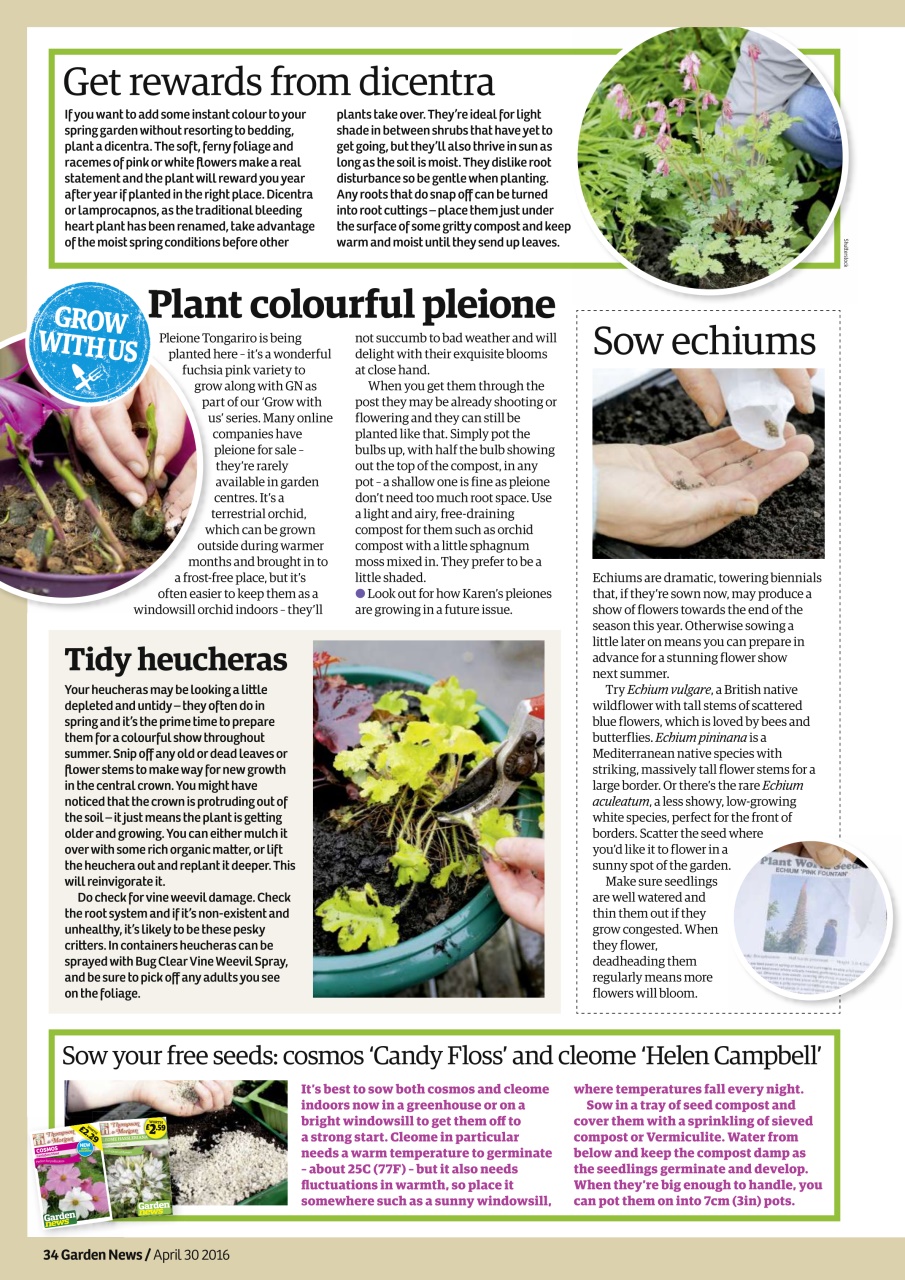 Garden News Preview Pages