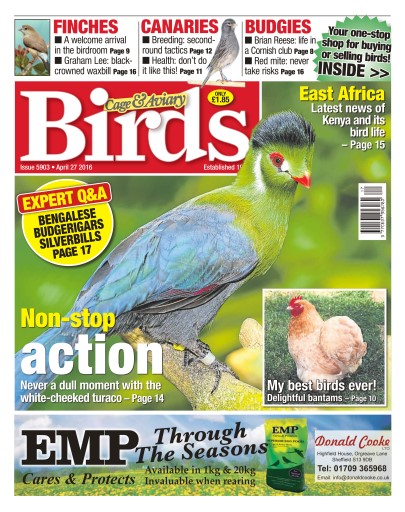 Cage & Aviary Birds issue 