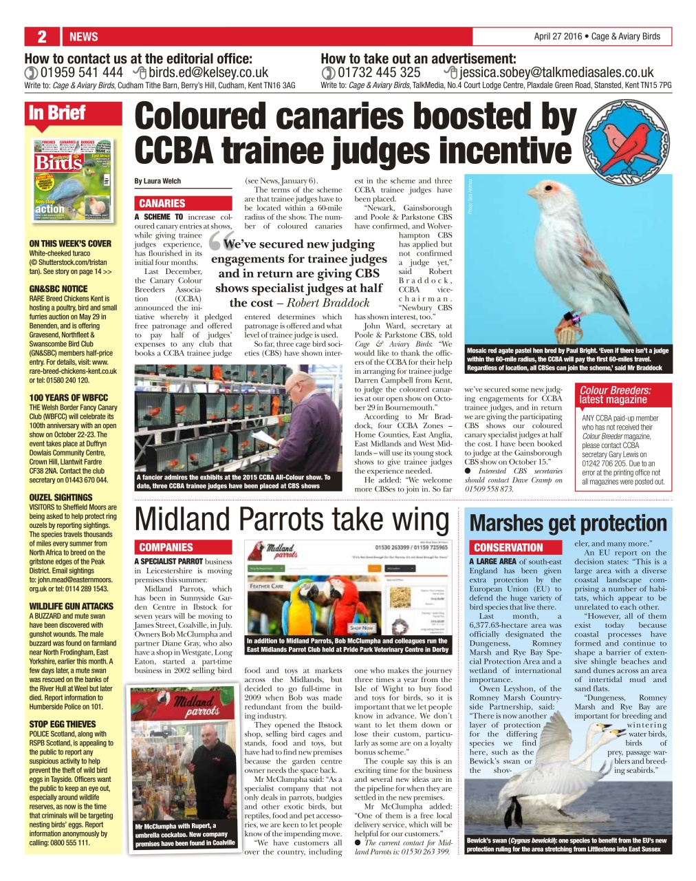 Cage & Aviary Birds Preview Pages