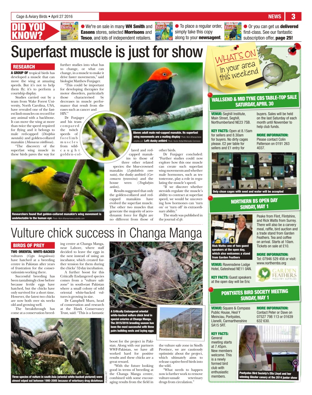 Cage & Aviary Birds Preview Pages