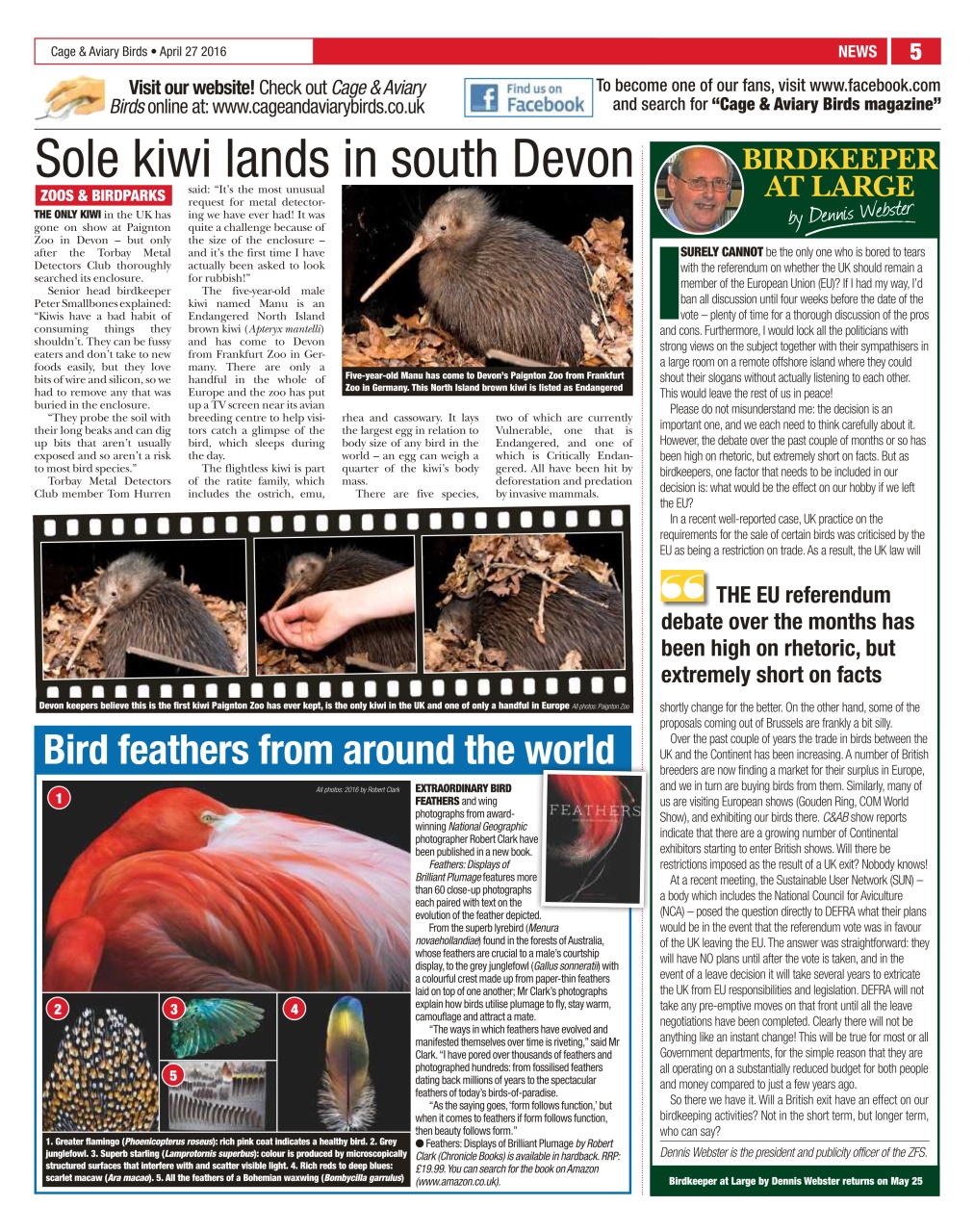 Cage & Aviary Birds Preview Pages