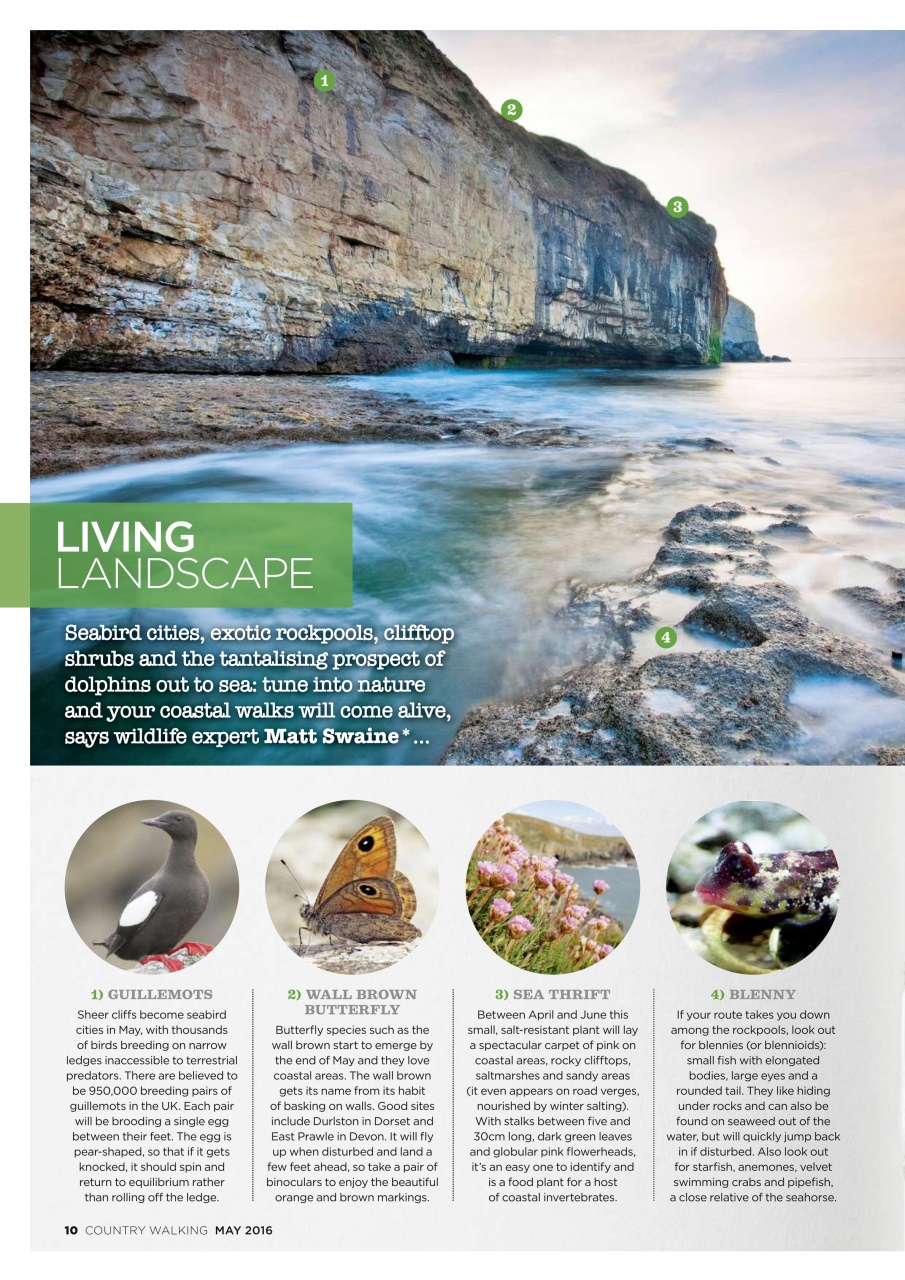 Country Walking Preview Pages