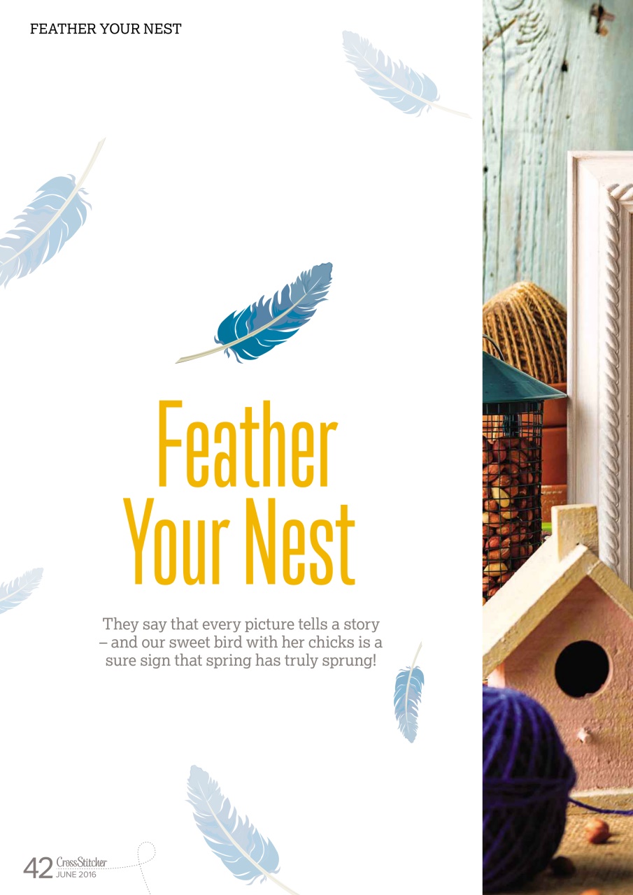 CrossStitcher Preview Pages