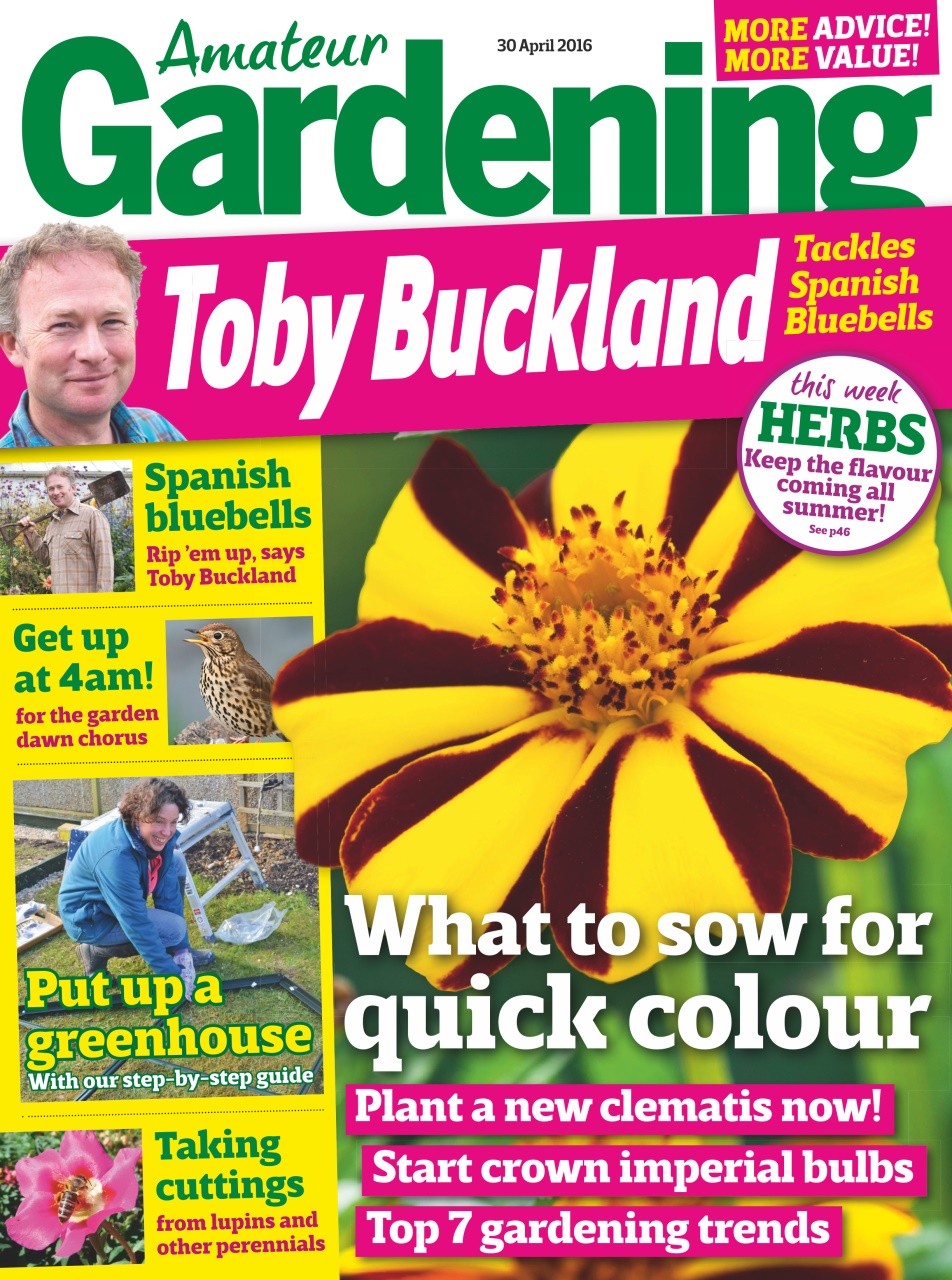 Amateur Gardening Preview Pages
