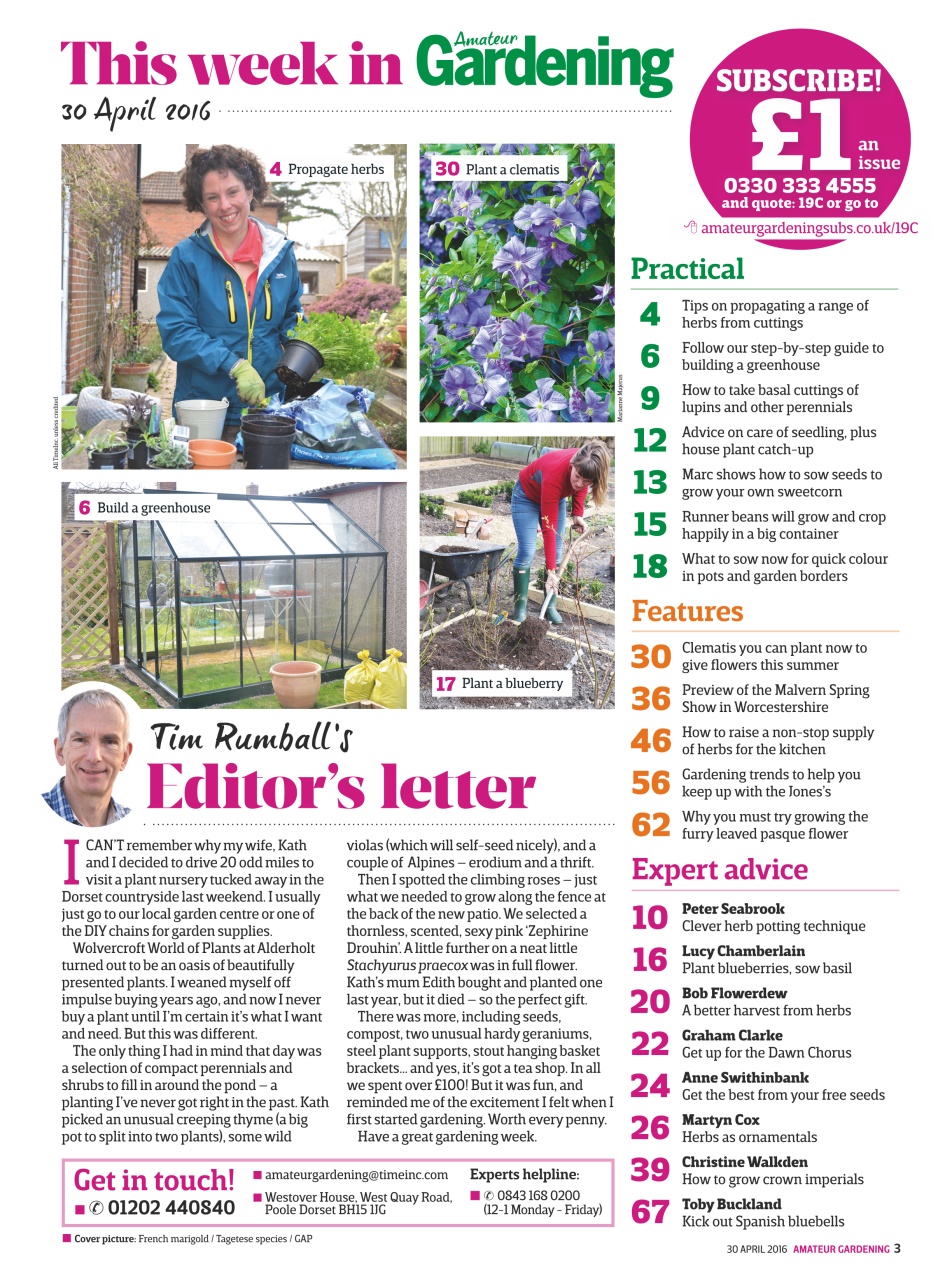 Amateur Gardening Preview Pages