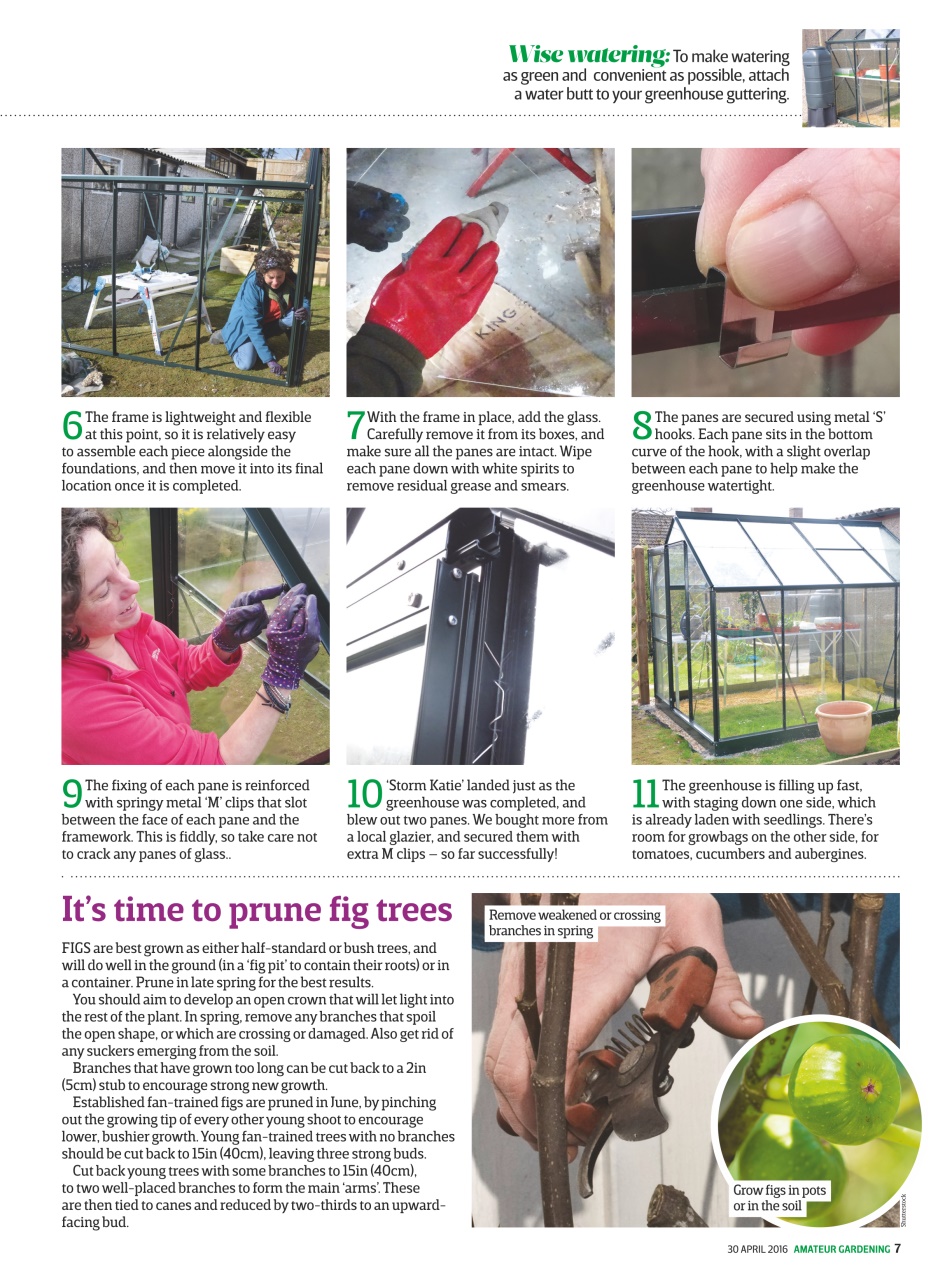 Amateur Gardening Preview Pages