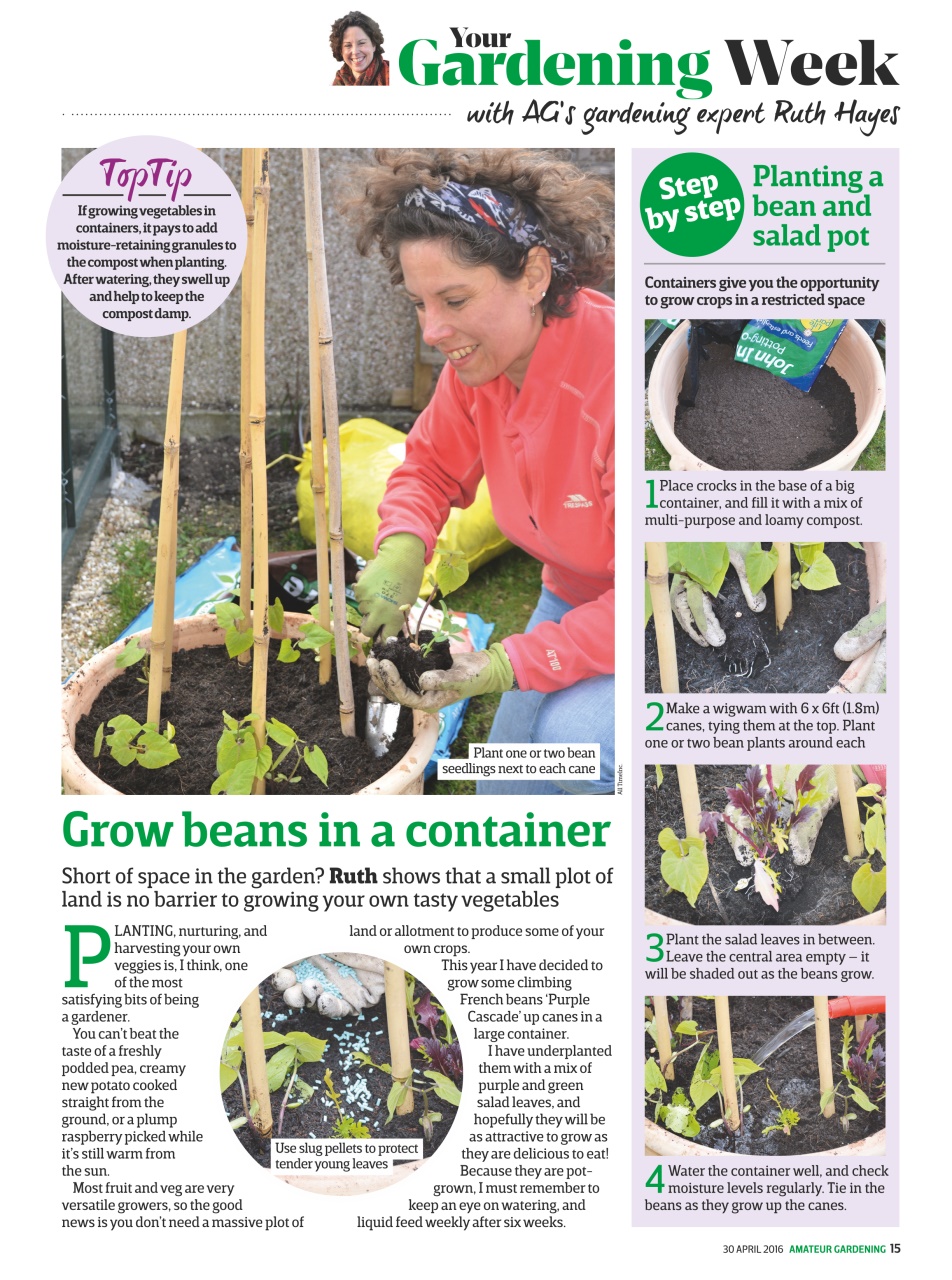 Amateur Gardening Preview Pages