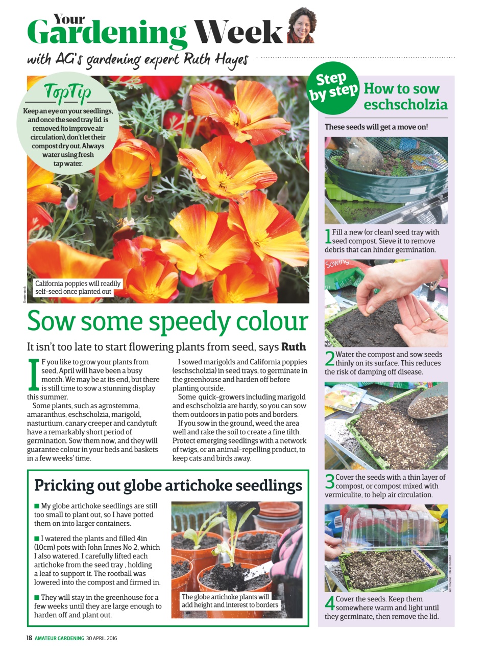 Amateur Gardening Preview Pages