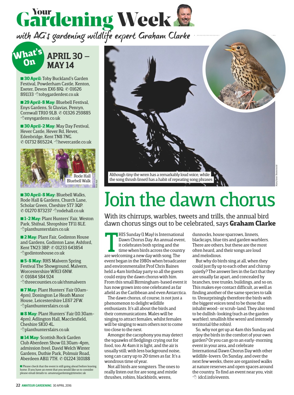 Amateur Gardening Preview Pages