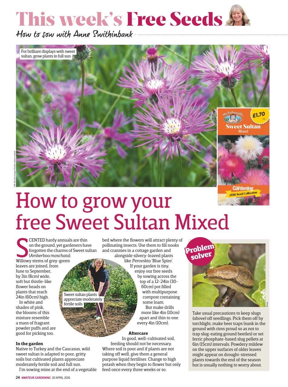 Amateur Gardening Preview Pages