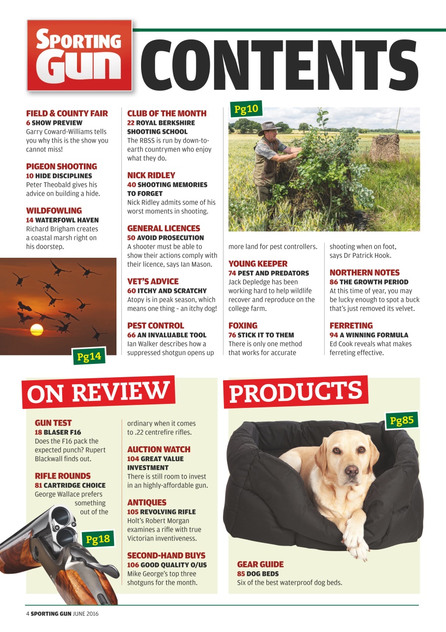 Sporting Gun Preview Pages