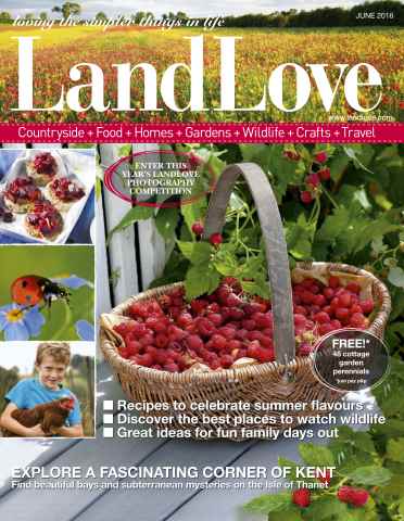LandLove Magazine issue June 2016