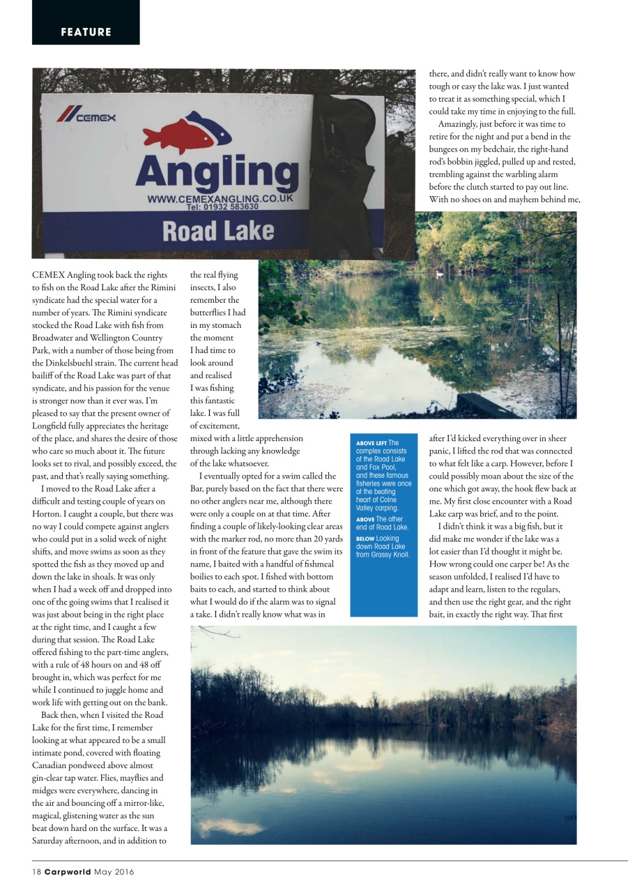 Carpworld Preview Pages