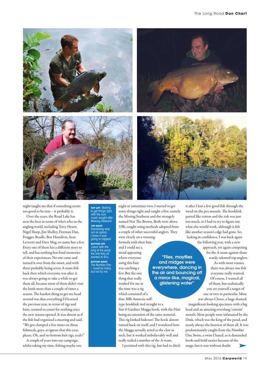 Carpworld Preview Pages