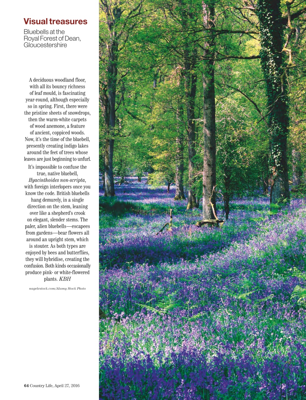 Country Life Preview Pages