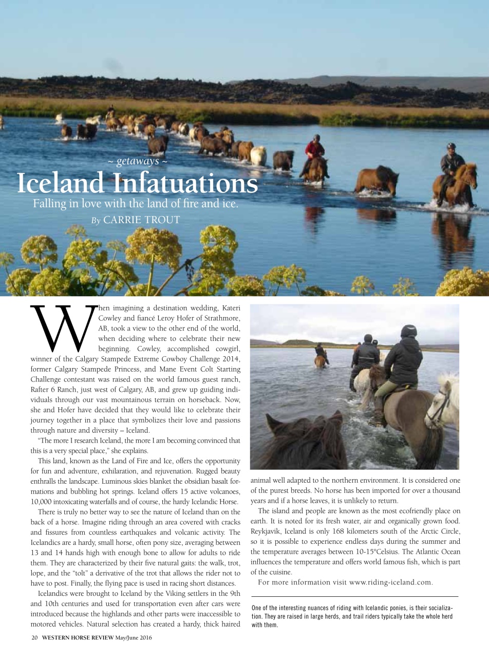 Western Horse Review Preview Pages