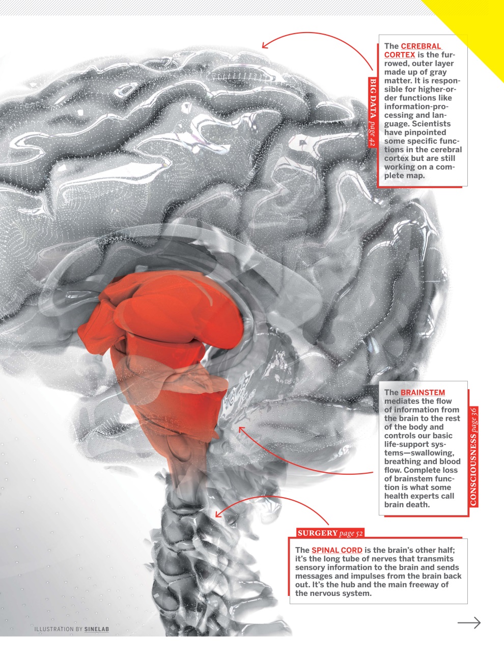 Newsweek International Preview Pages