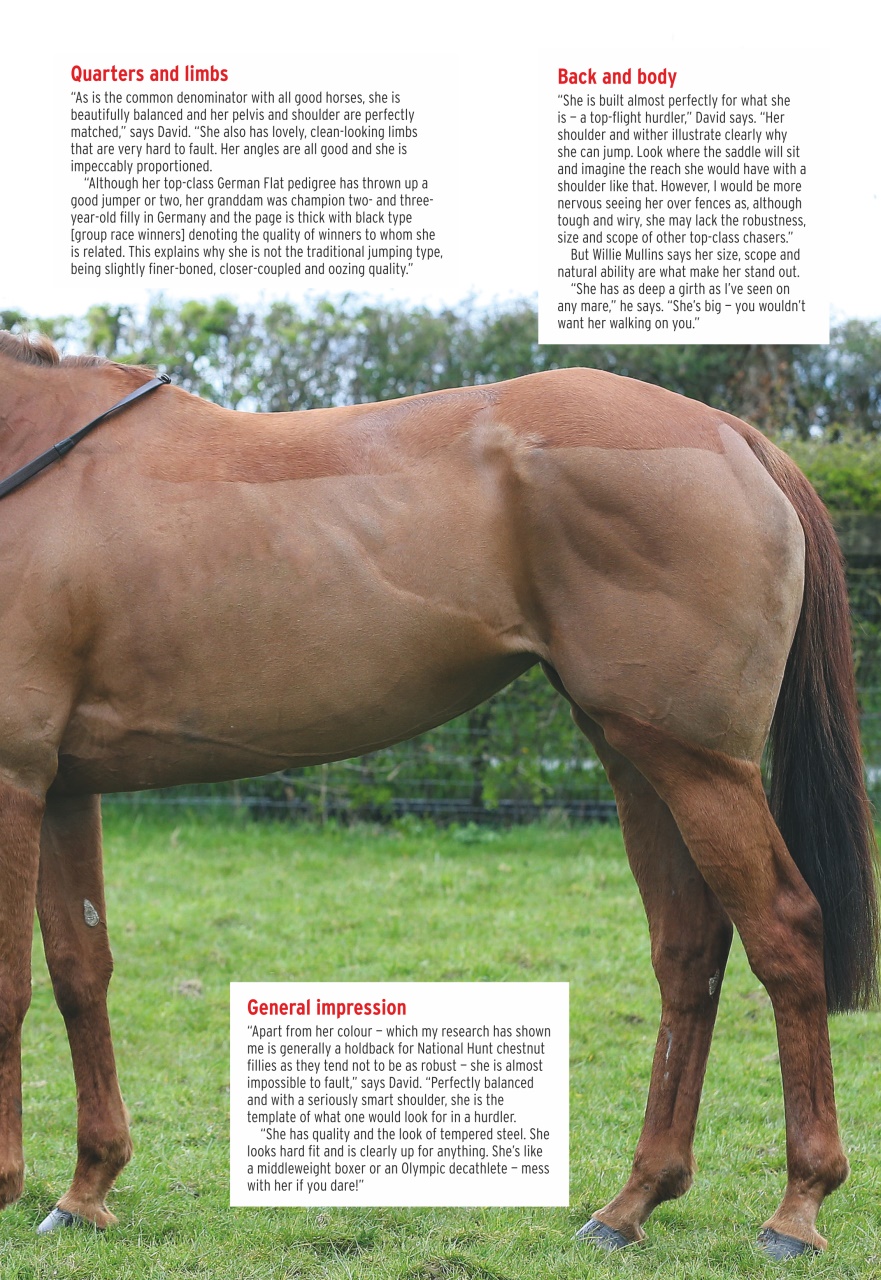 Horse & Hound Preview Pages