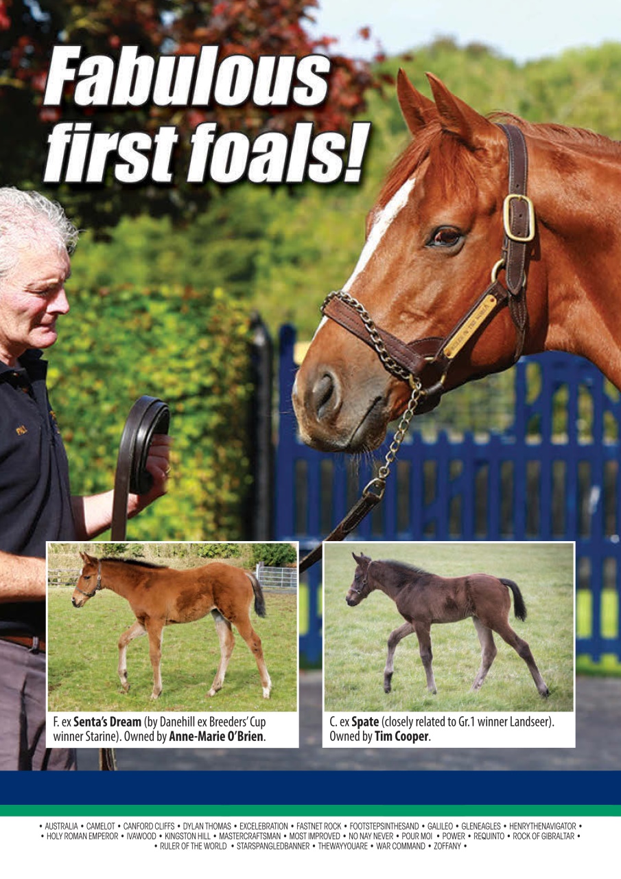 The Owner Breeder Preview Pages