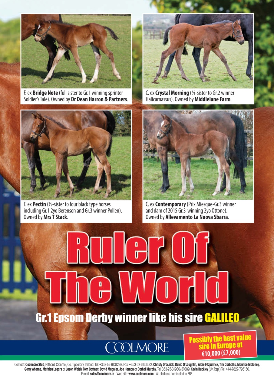 The Owner Breeder Preview Pages