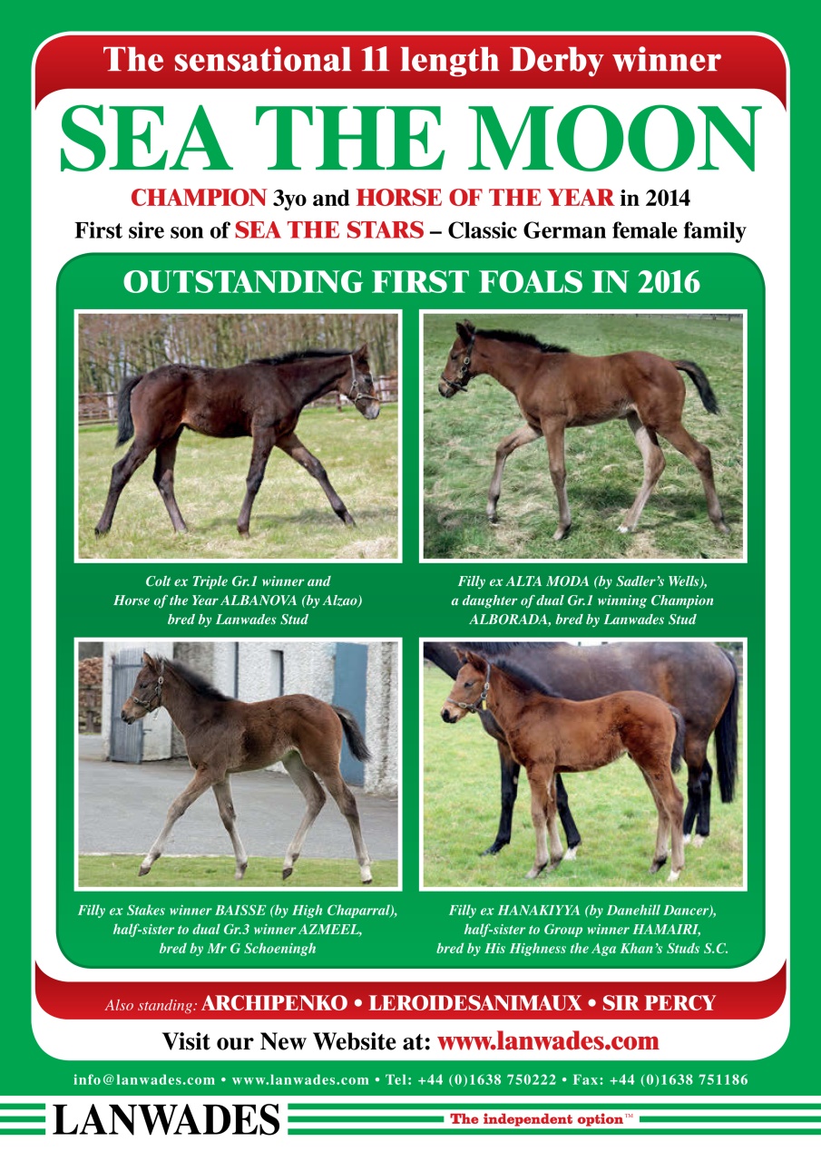 The Owner Breeder Preview Pages