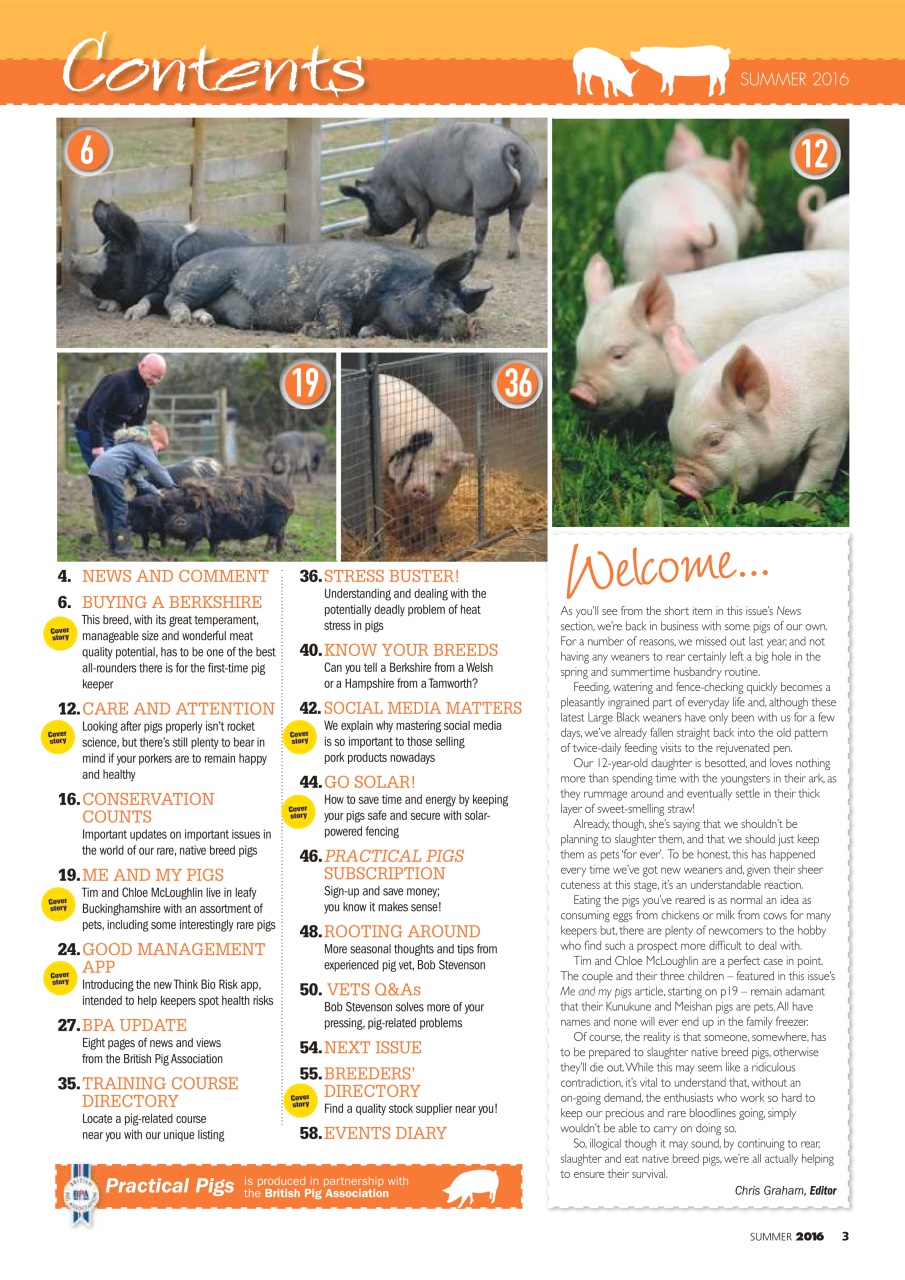 Practical Pigs Preview Pages