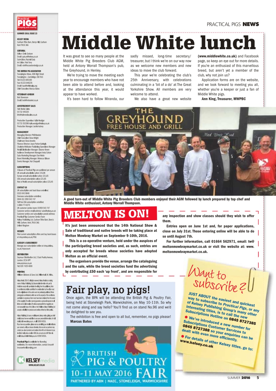 Practical Pigs Preview Pages