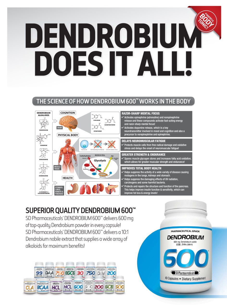 Muscle Insider Magazine Preview Pages