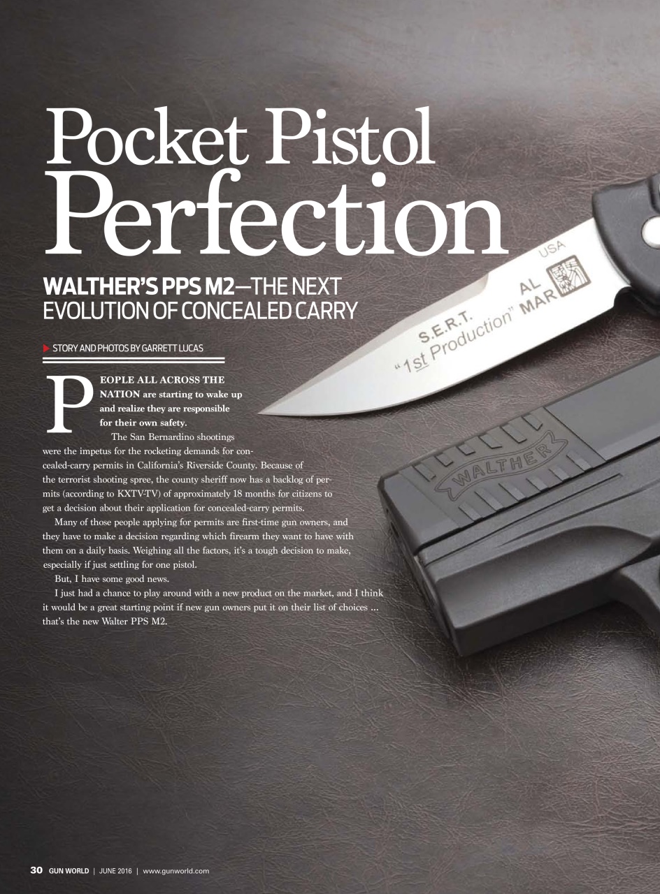 Gun World Preview Pages