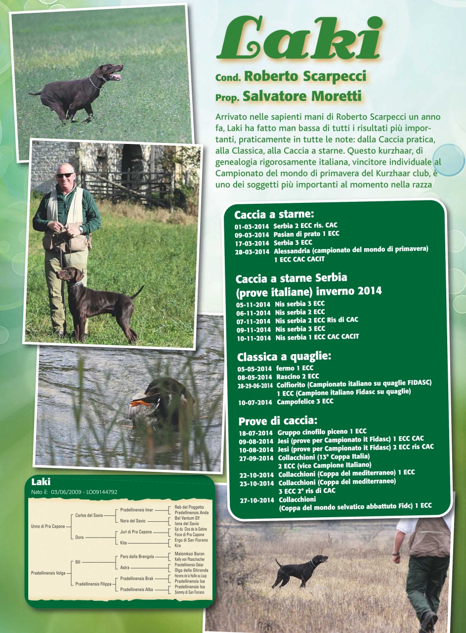 La Gazzetta Della Cinofilia Venatoria Preview Pages