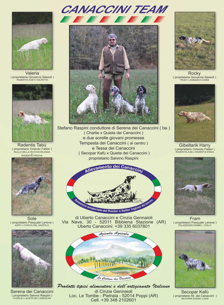 La Gazzetta Della Cinofilia Venatoria Preview Pages