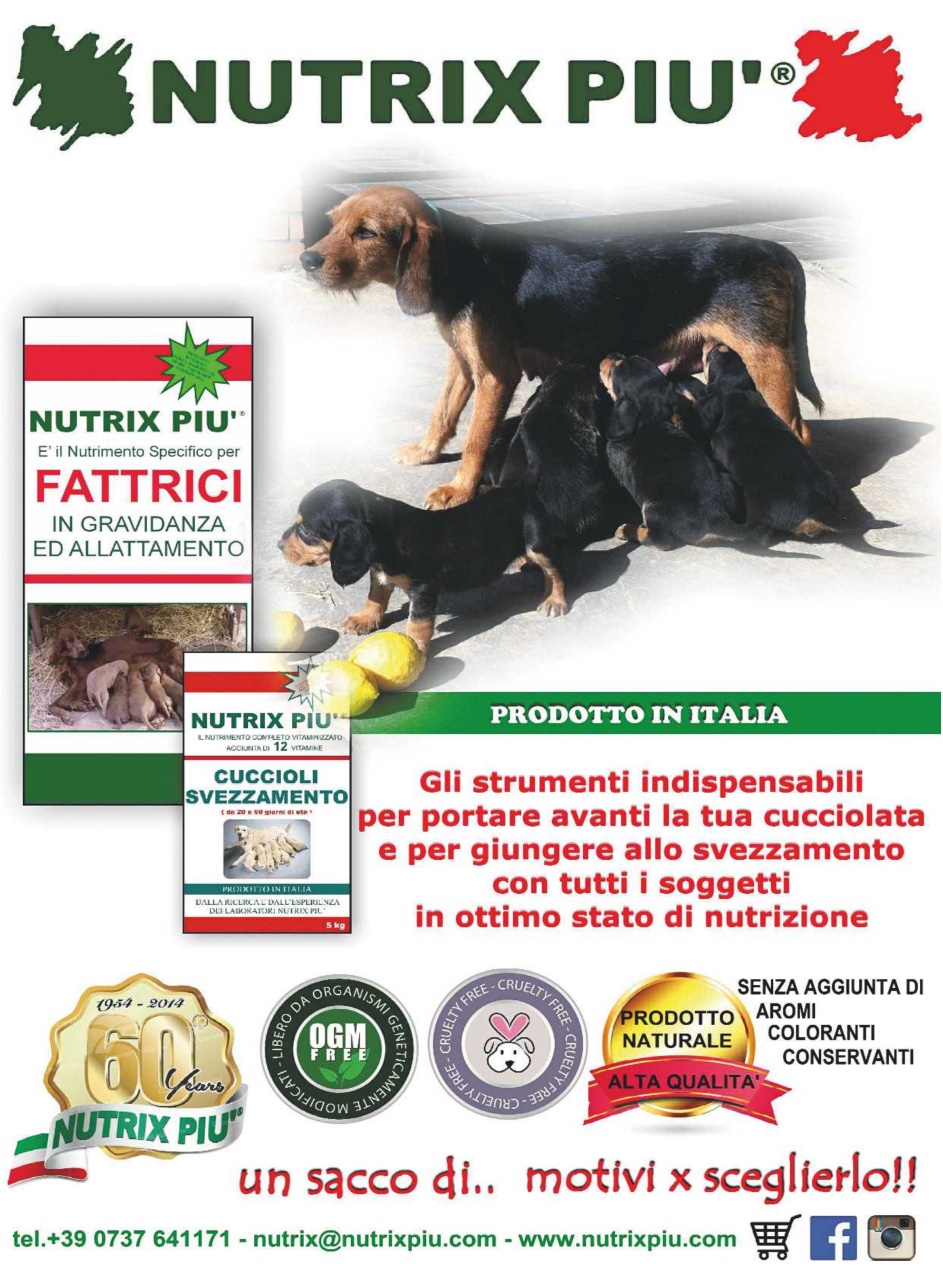 La Gazzetta Della Cinofilia Venatoria Preview Pages