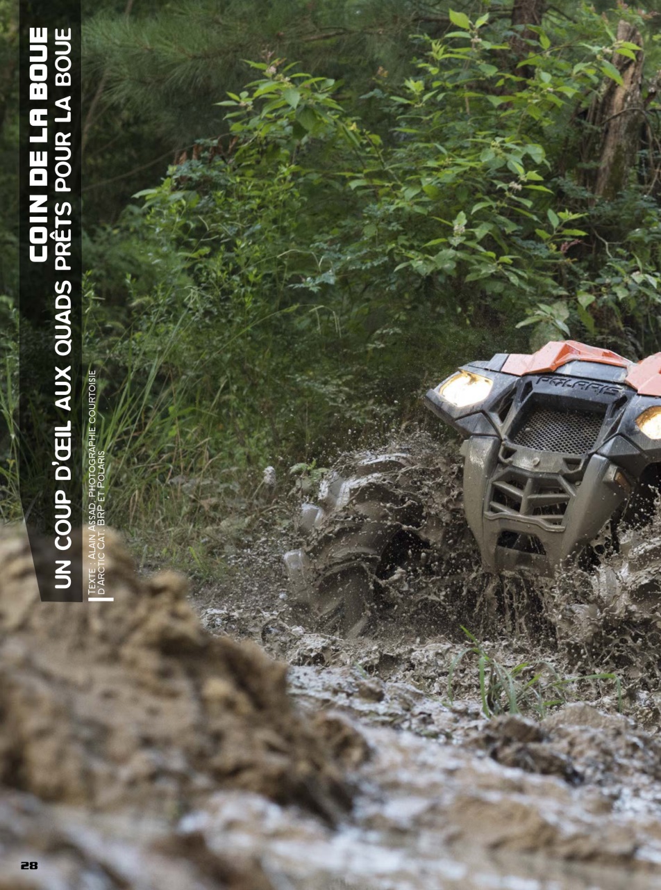 Quadnet Preview Pages