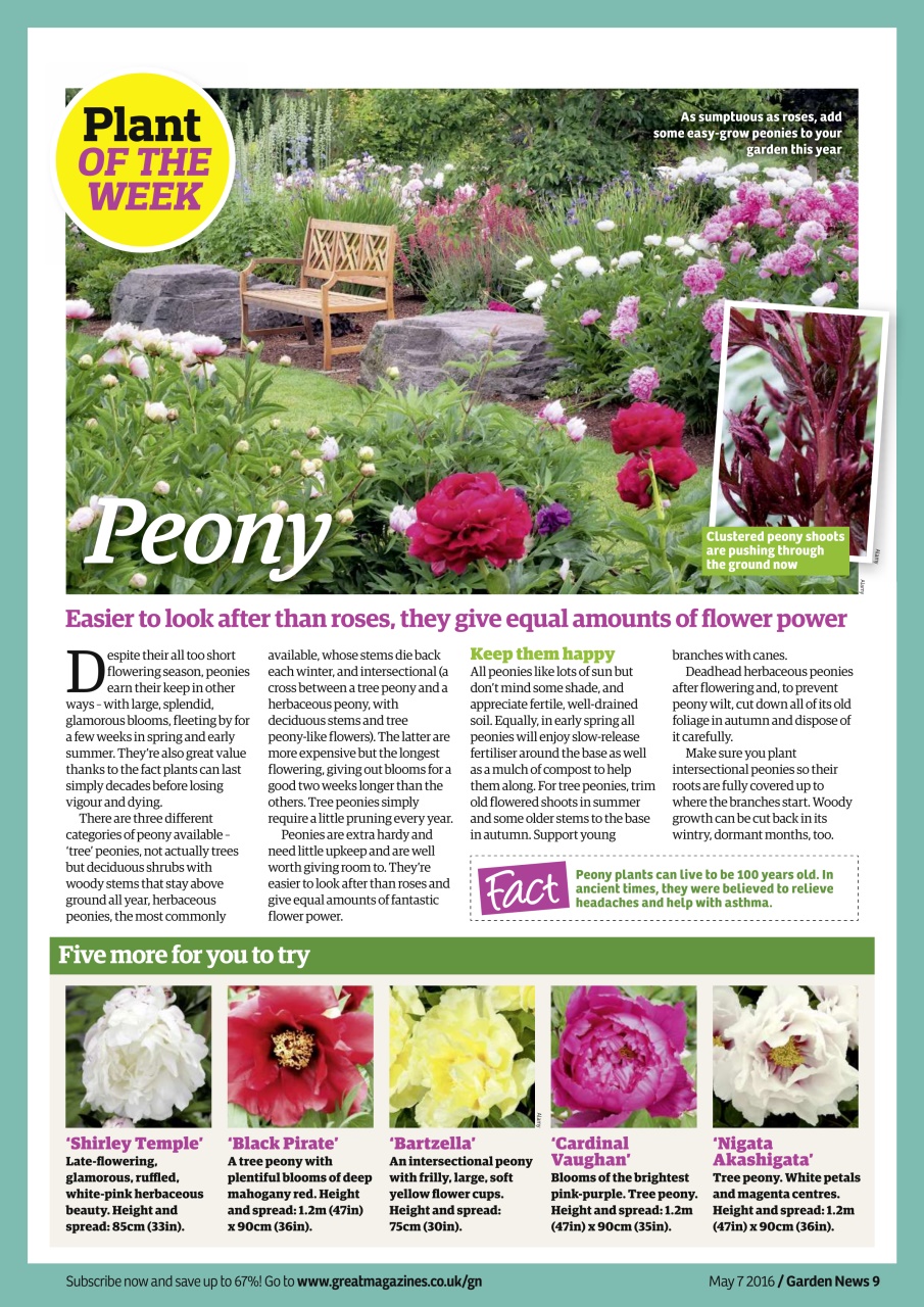 Garden News Preview Pages