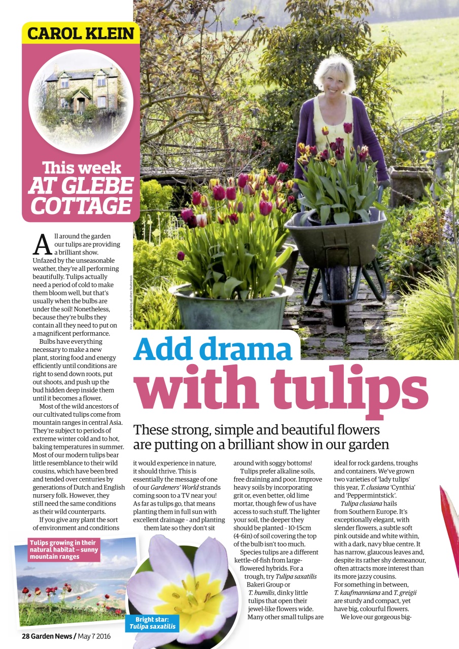 Garden News Preview Pages