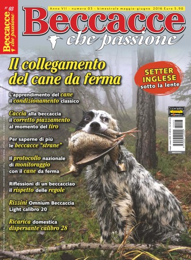 BECCACCE CHE PASSIONE issue 