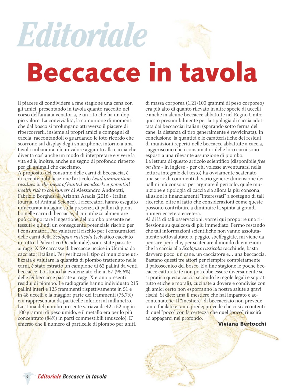 BECCACCE CHE PASSIONE Preview Pages