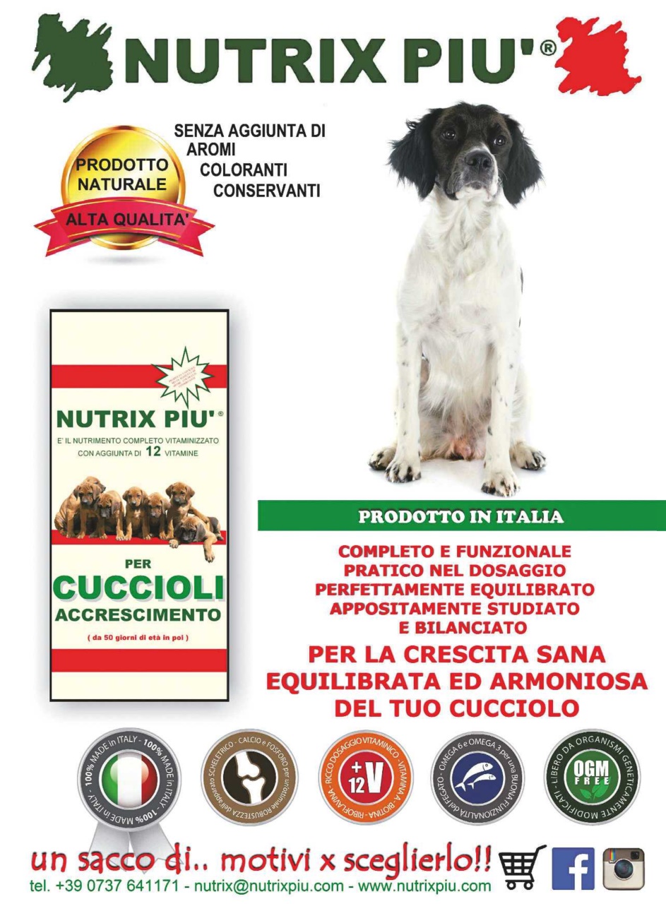 La Gazzetta Della Cinofilia Venatoria Preview Pages