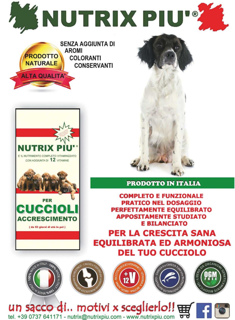 La Gazzetta Della Cinofilia Venatoria Preview Pages