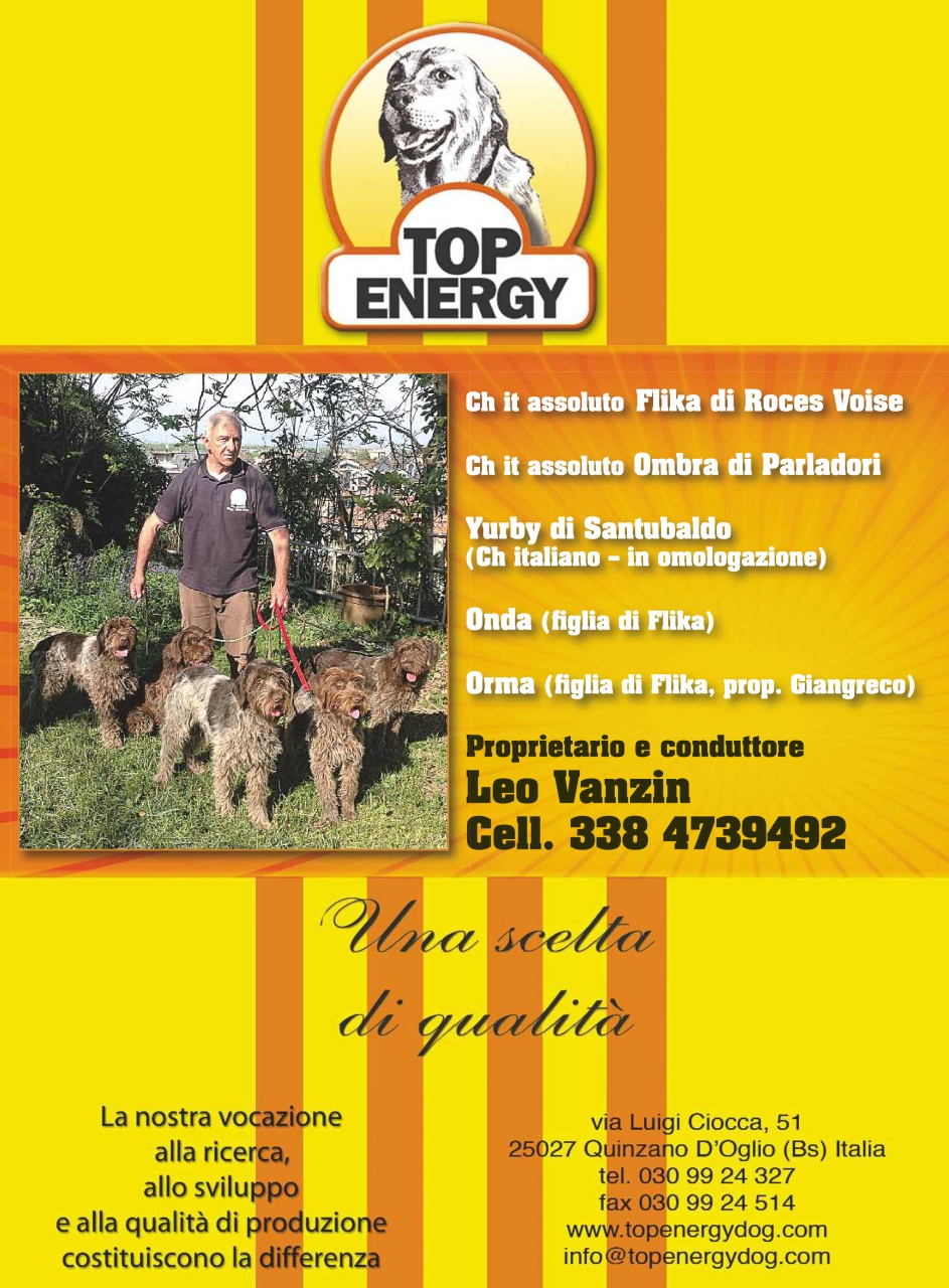 La Gazzetta Della Cinofilia Venatoria Preview Pages